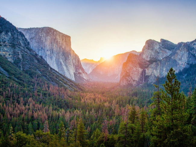 California Encantadora