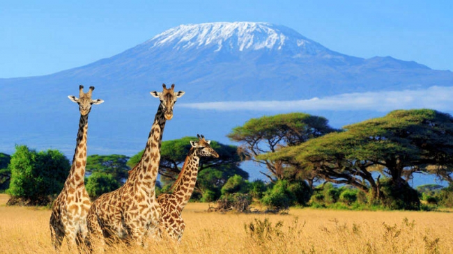 Kenia y Tanzania al completo