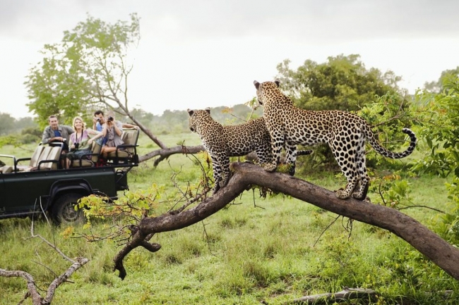 Sudfrica en Reserva Privada