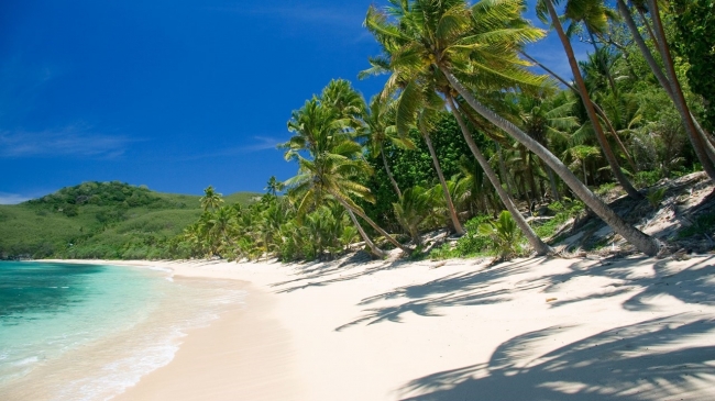 Nueva Zelanda y FIJI 