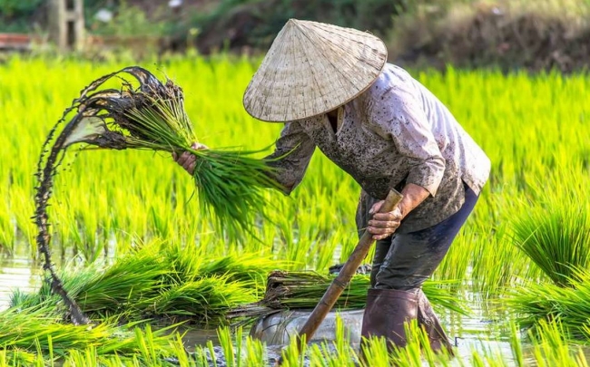 Laos, Vietnam con Halong Bay y Camboya