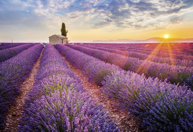 Gran tour de Francia