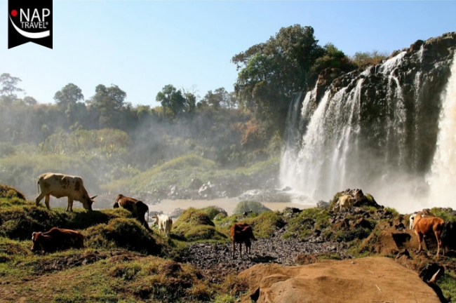 Etiopia Exotica