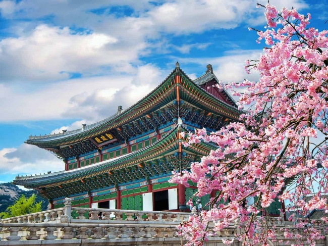 COREA DEL SUR Y JAP�N - OCTUBRE 2026