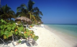Cayo Guillermo